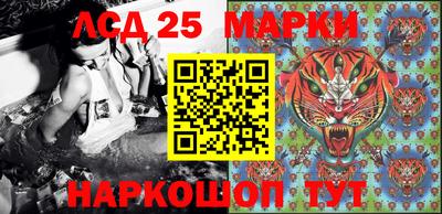 индика Владикавказ