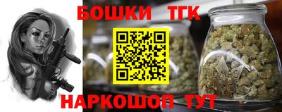 индика Владикавказ